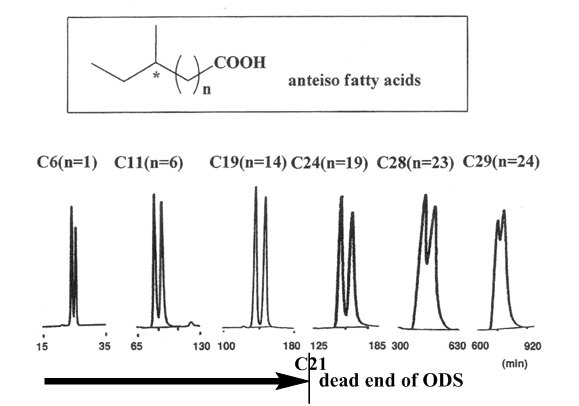 Fig. 3: HPLC Chromatogram of the Helically Chiral Diastereomers of Anteiso Fatty Acids Derivatized With A By C30 ColumnThese results indicate that 1. The methylene chain length of the reversed phase column is important for the separation, 2. Both of the column methylene chain and the diastereomer's methylene chain are straight and interact in a liner way with each other, 3. A Methylene chain of the column must interact with the two chiral positions (one is the position that tells the helical chirality of the diastereomer and the other is that of methyl branching) of the diastereomer simultaneously so that it gets the two information of the chirality of the diastereomer at the same time. Now, a new question "How can one chiral information of the diastereomer be transmitted to the other interaction position through the methylene chain?" arises.Here, I would like to propose an idea of "induced helically chiral methylene chain".The methylene chain of the column is twisted clockwise or counterclockwise depending on the helical chirality of the diastereomer by the interaction with the helically chiral diastereomer, this makes the methylene chain helically chiral. (The difference in affinity for the methylene chain of the column between the anthracene-2,3-dicarboximido group and the alkyl ester group of the diastereomer would be playing an important role for the twisting.) Thus, the information of the helical chirality of the diastereomer can be transmitted throughout the methylene chain as the helical chirality of the methylene